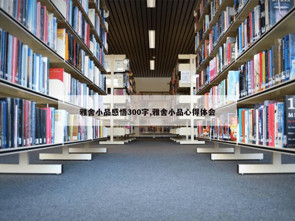 雅舍小品感悟300字,雅舍小品心得体会