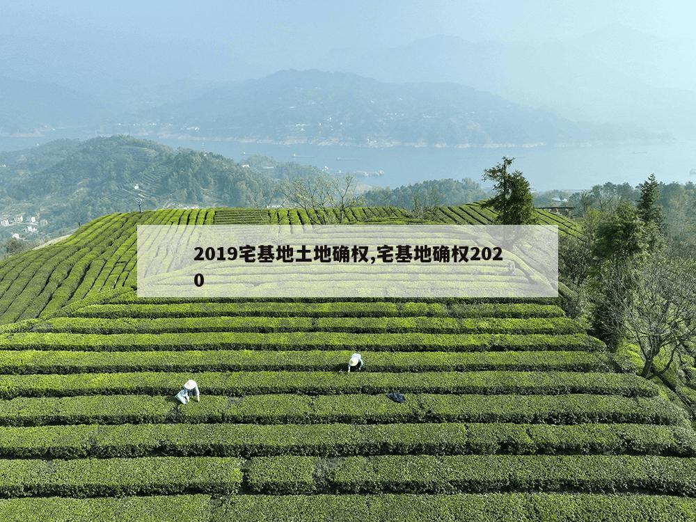 2019宅基地土地确权,宅基地确权2020