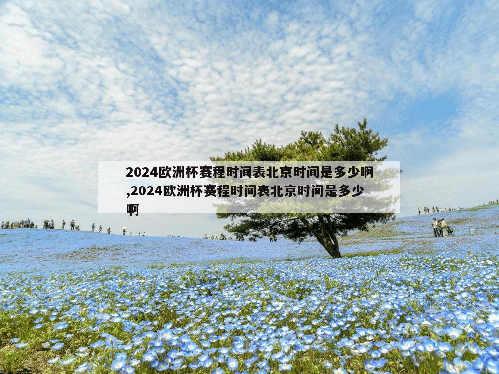 2024欧洲杯赛程时间表北京时间是多少啊,2024欧洲杯赛程时间表北京时间是多少啊