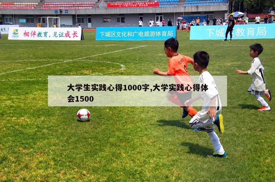 大学生实践心得1000字,大学实践心得体会1500