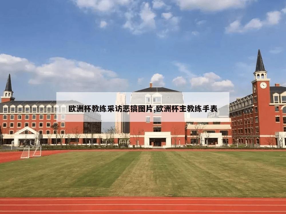 欧洲杯教练采访恶搞图片,欧洲杯主教练手表