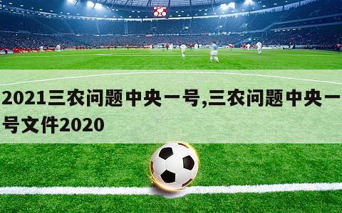 2021三农问题中央一号,三农问题中央一号文件2020