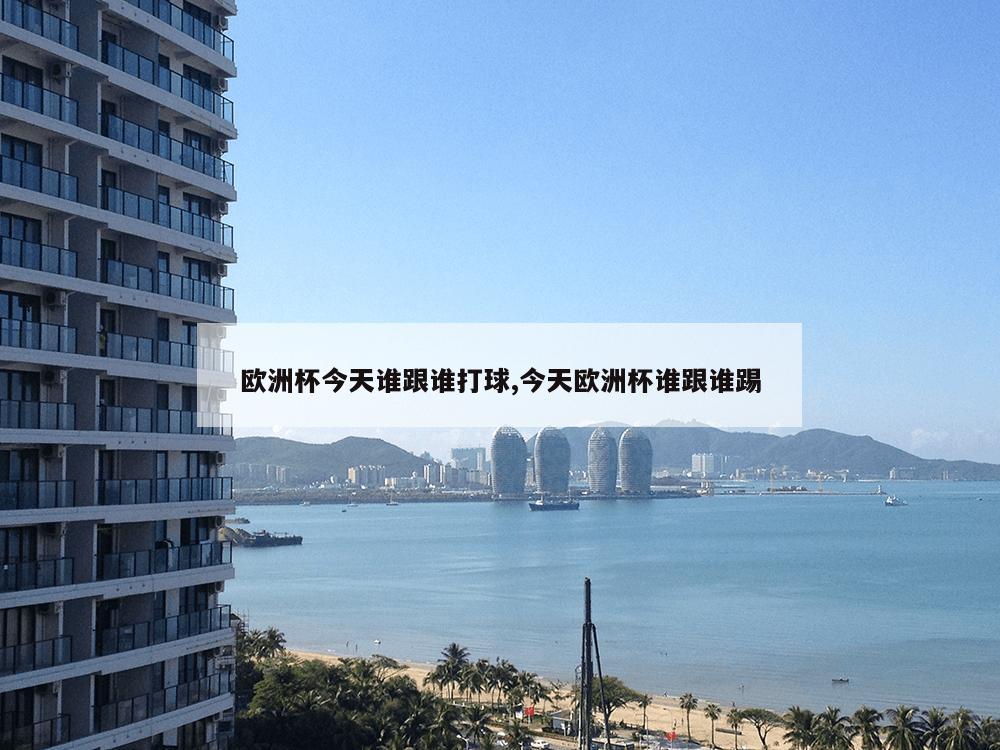 欧洲杯今天谁跟谁打球,今天欧洲杯谁跟谁踢