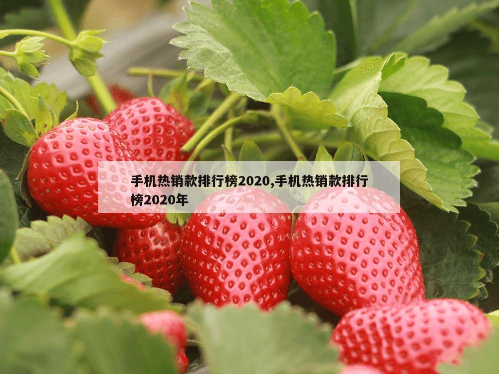 手机热销款排行榜2020,手机热销款排行榜2020年