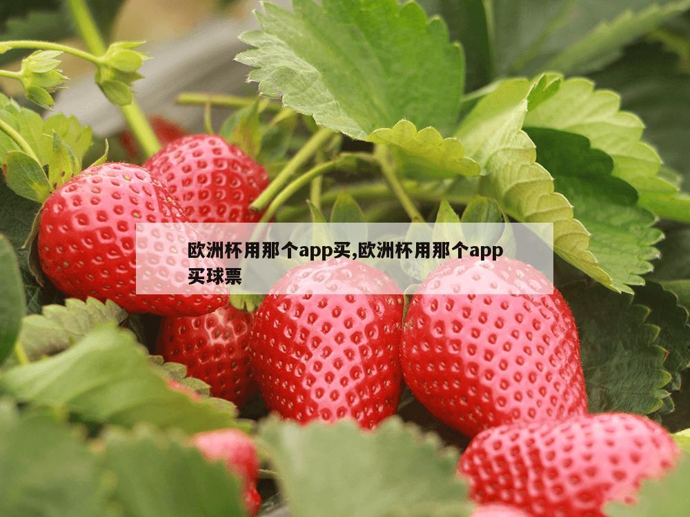 欧洲杯用那个app买,欧洲杯用那个app买球票