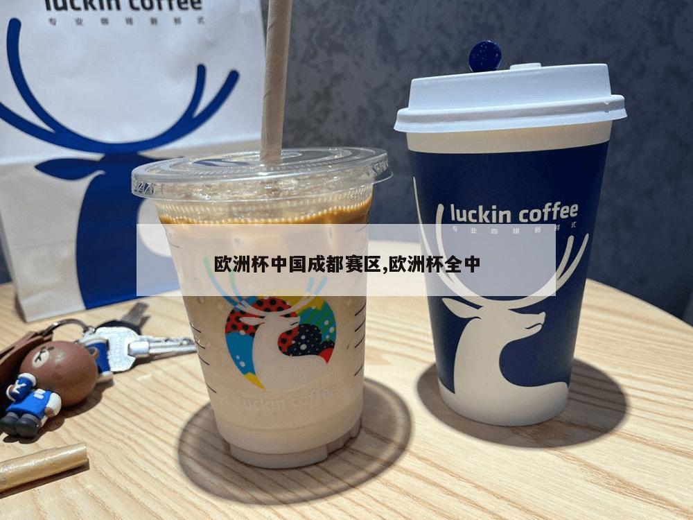 欧洲杯中国成都赛区,欧洲杯全中