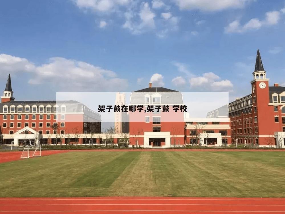 架子鼓在哪学,架子鼓 学校