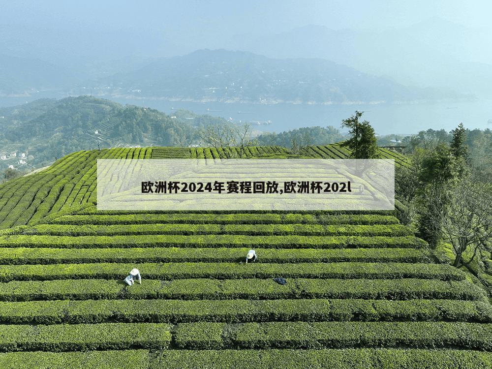 欧洲杯2024年赛程回放,欧洲杯202l