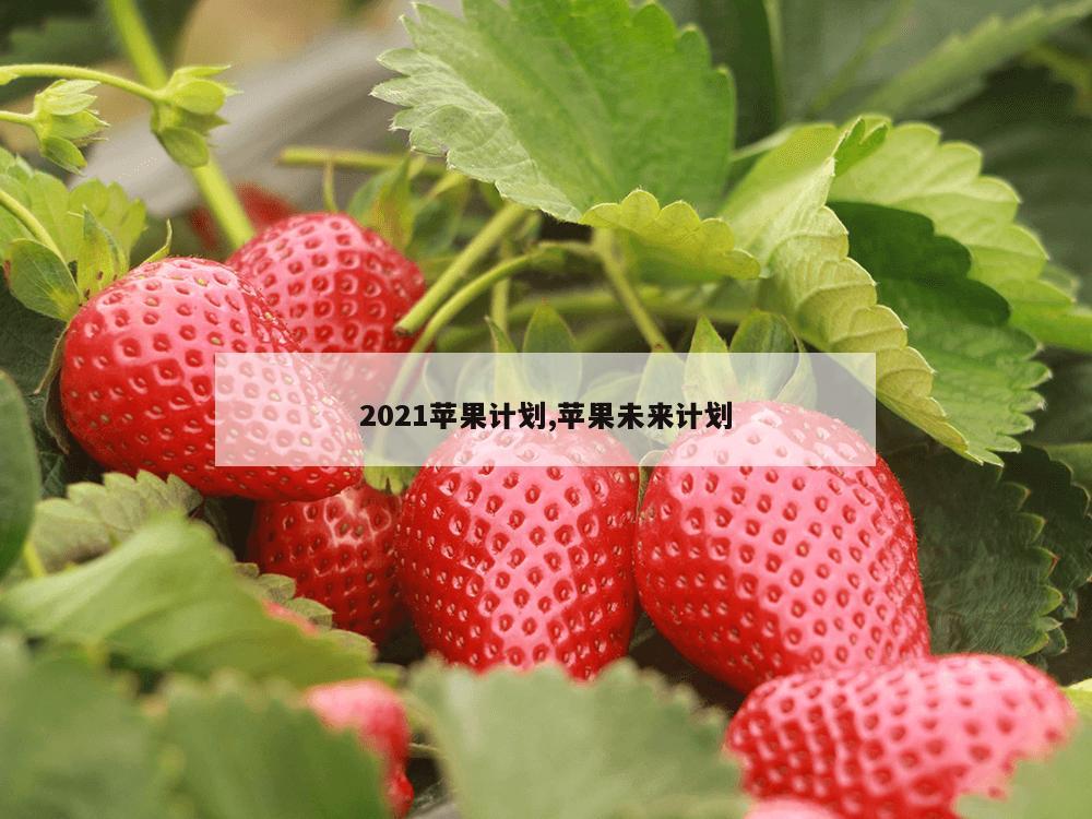 2021苹果计划,苹果未来计划