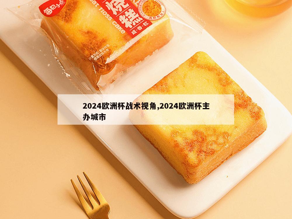 2024欧洲杯战术视角,2024欧洲杯主办城市