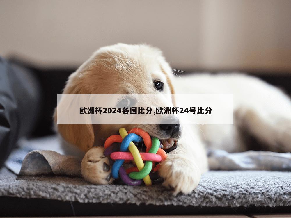 欧洲杯2024各国比分,欧洲杯24号比分