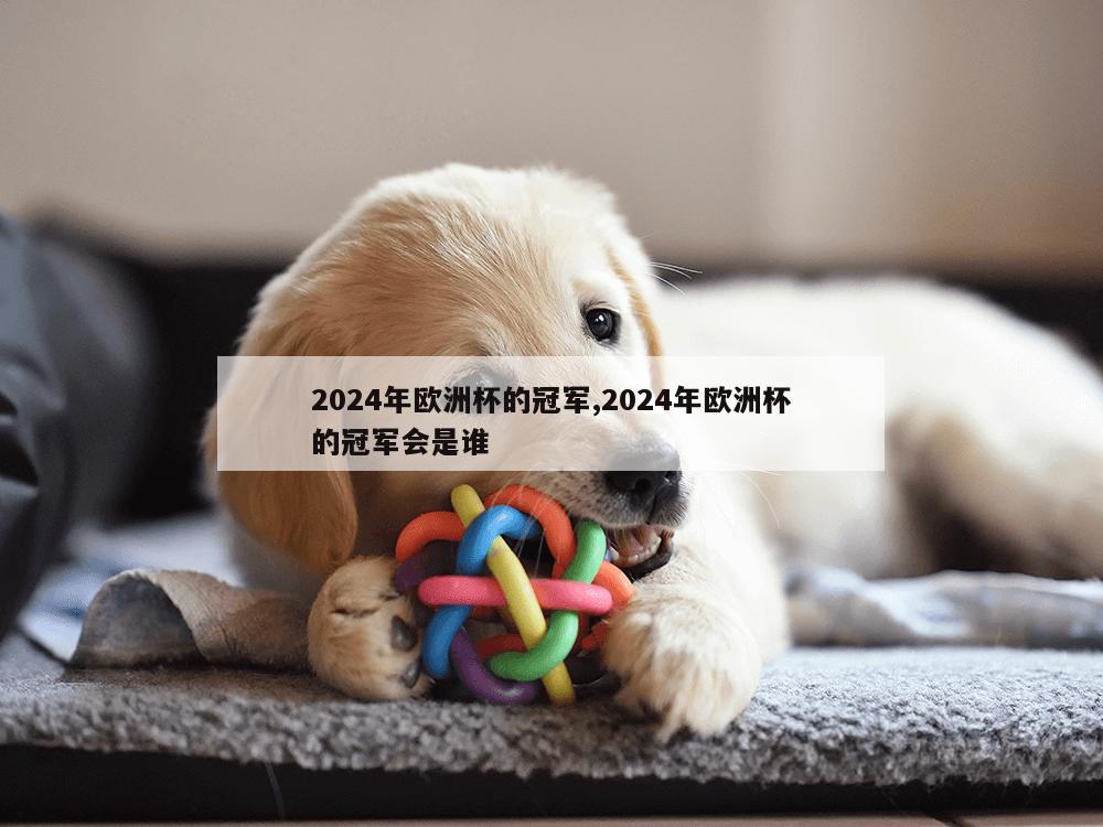 2024年欧洲杯的冠军,2024年欧洲杯的冠军会是谁