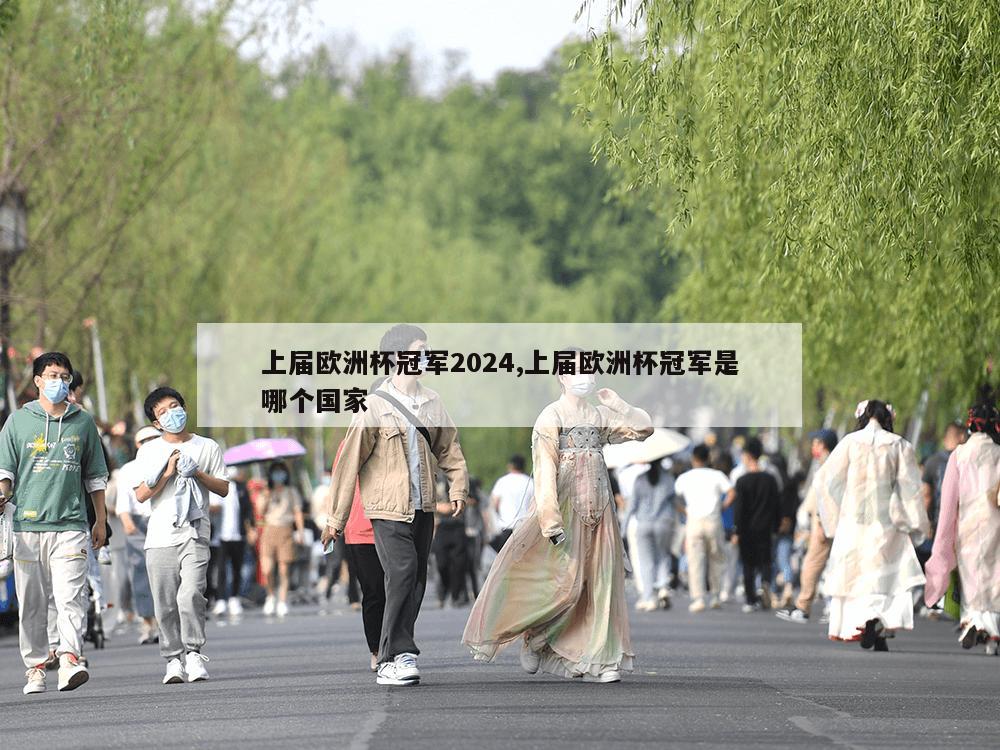 上届欧洲杯冠军2024,上届欧洲杯冠军是哪个国家